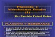 15 Placenta y Membranas Fetales (1)