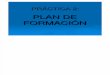 PRÁCTICA 2. Plan de formación pdf