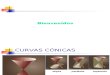 Curvas Conicas y Cicloides