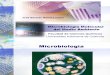 Microbiologia Molecular Del Medio Ambiente