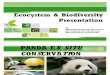 Ecocystem & Biodiversity Presentation