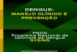 Dengue Manejo Clinico e Prevencao