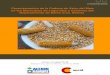 Estudio de la cadena de valor del maíz en el Chaco Boliviano (2009)