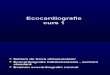 Ecocardiografie - Curs 1