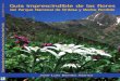 Guía imprescindible de las flores del Parque Nacional de Ordesa y Monte Perdido