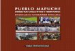 Pueblo mapuche. Derechos colectivos y territorio