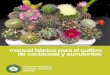 Manual básico para el cultivo de cactáceas y suculentas