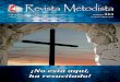 Revista Metodista Nº 213