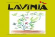 Revista Lavínia 2010 06 juny - Núm. 27