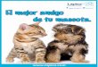 Catálogo de Productos Lapisa Animales de Compañía