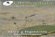 Monográfico 4 - Flora y Vegetación Mediterránea