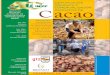 Certificación organica y comercialización asociativa de cacao