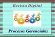 Procesos Gerenciales Revista Digital