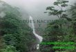 Presentación Parques Nacionales y Monumentos Naturales de Venezuela