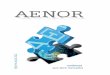 AENOR Informe Anual 2012