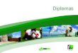 Brochure del Diploma en Gestión del Riesgo de Desastres y Adaptación al Cambio Climático