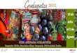 Feria Artesanal Guelaguetza 2015