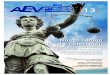 AEV Revista N° 13