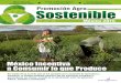 Promoción agro sostenible México 2015