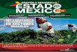 Gestión y Desarrollo Estado de México 2015