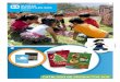 Catalogo Productos - Aldeas Infantiles SOS Peru
