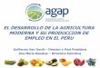 El Desarrollo de la Agricultura Moderna y la generación de empleo en el Perú