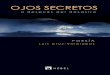 Ojos Secretos o Después del Desastre (2015). Luis Cruz-Villalobos