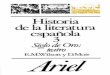 Historia de la literatura española 03