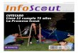 InfoScout Nº290