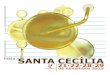Programa Santa Cecília 2015