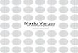 Mario Vargas: una evolución arquitectónica