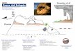 Topografía de la Cueva del Solapón (Adamuz)