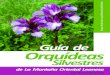 Guía de Orquídeas Silvestres de la Montaña Oriental Leonesa