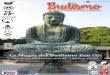 Revista Budismo: Un Oasis de Posibilidades para tu Felicidad. N° 8