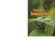 Observa el mundo de los insectos - José antonio uría