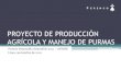 PDS 2011 - Perenco - Proyecto producción agrícola y manejo de purmas