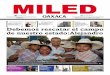Miled Oaxaca 25 05 16