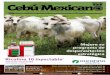 Revista Cebú Mexicano Mayo-Junio 2016
