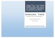 Taller contable visual tns