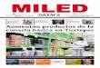 Miled Oaxaca 06 06 16