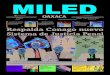 Miled Oaxaca 11 06 16