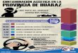 EL CLAXON DEL VEHÍCULO GENERA ALTOS NIVELES DE CONTAMINACIÓN ACÚSTICA EN LA CIUDAD DE HUARAZ