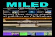 Miled Chihuahua 18 06 16