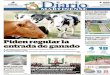 El Diario Martinense 1 de Julio de 2016