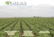 Revista Gilsa primera edición