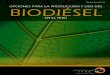 Libro Biodiesel (cambios jorge mcgregor).indd