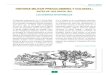 Historia Militar Precolombina y Colonial: antes de 1523 hasta 1821