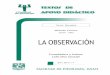 La observación -Lidia Díaz Sanjuán -Texto Apoyo Didáctico 