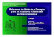 Balances de Materia y Energía para la Auditoría Ambiental en