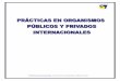 Prácticas en Organismos Públicos y Privados Internacionales. Red 